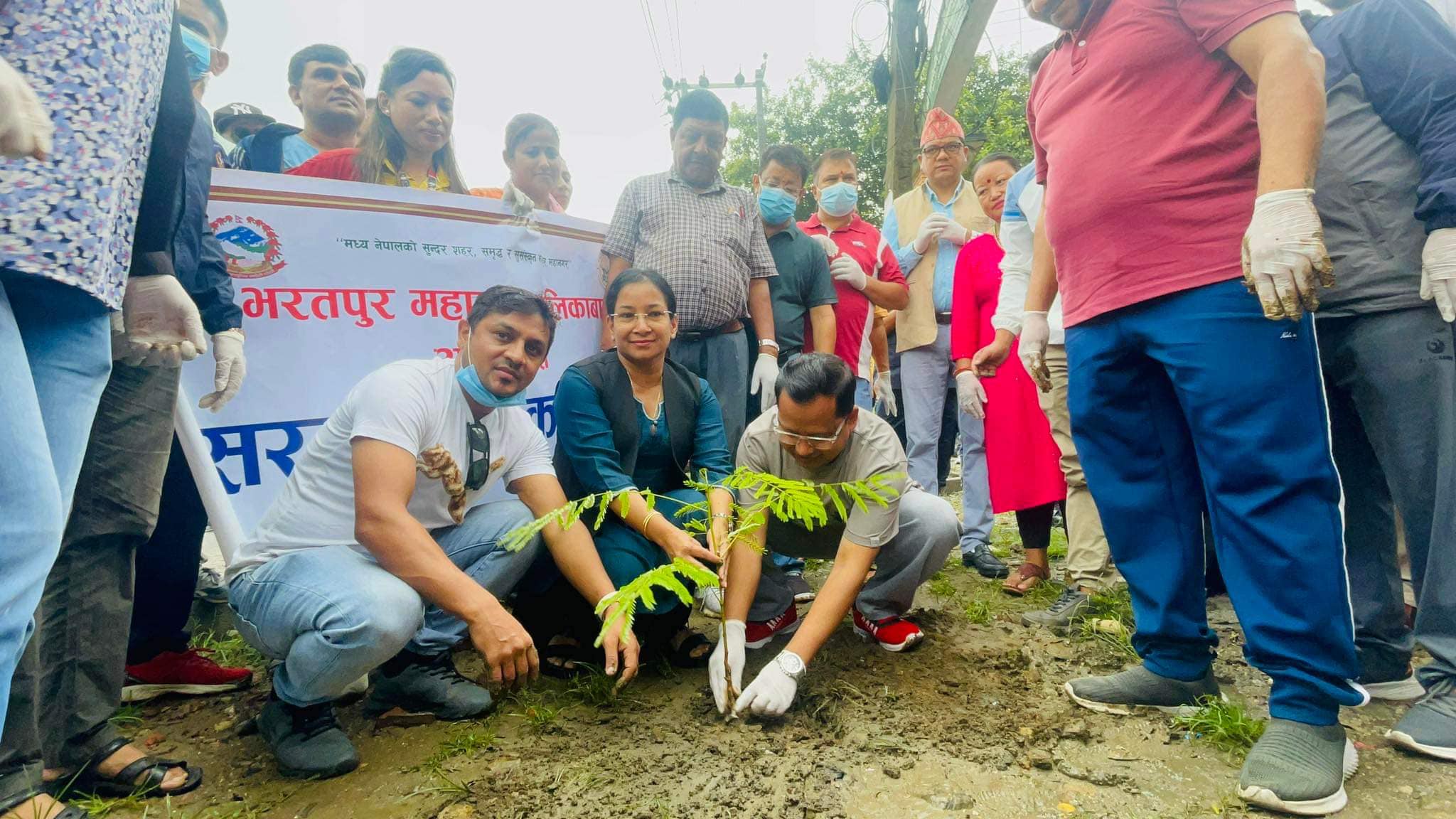 चितवनमा मेयरले रोप्न लगाएको बिरुवा उखेलेर फाल्ने महिला पक्राउ