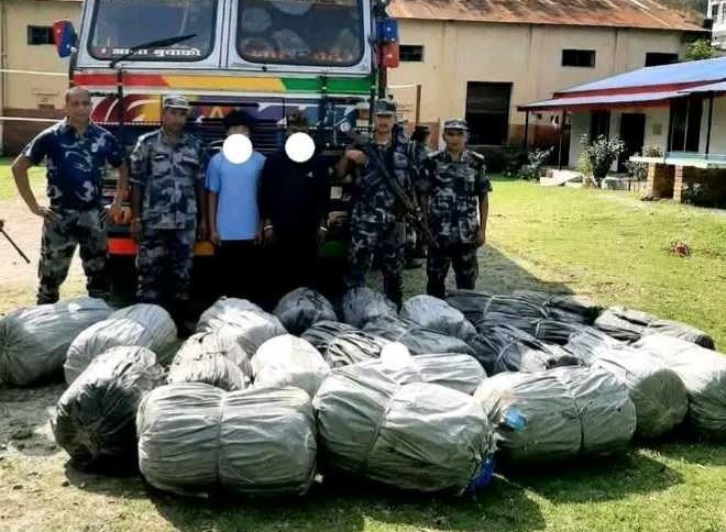 सुनसरीमा ७८३ किलो गाँजा सहितको ट्रक सशस्त्र प्रहरीको नियन्त्रणमा