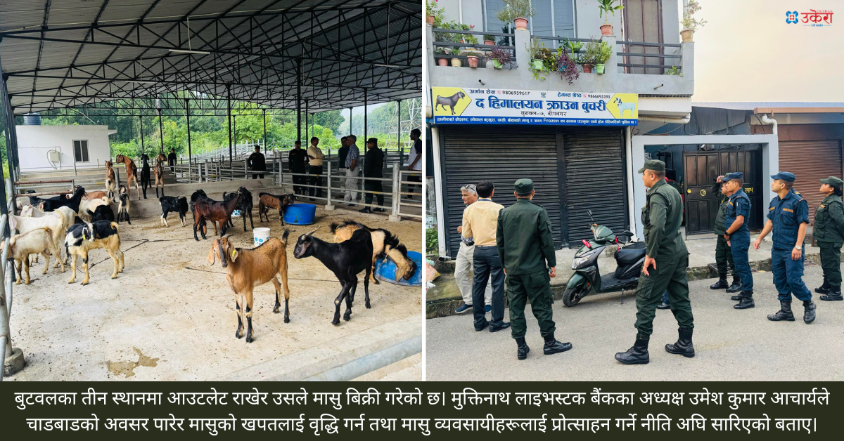 बुटवलका अटेरी मासु व्यवसायीले पसल नै बन्द गरे, बधशाला आफैँले बेच्न थाल्यो सस्तोमा मासु