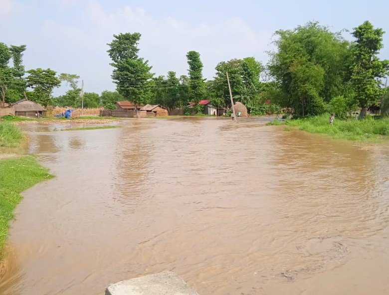 माईखोलाको बाढी बस्तीमा पस्यो : सुगाबथानका २२ घर डुबानमा