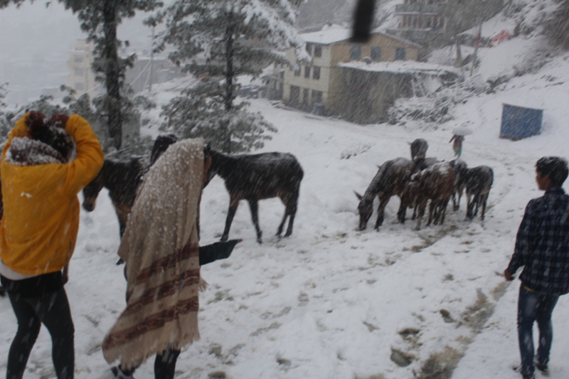 यी चार प्रदेशमा राति हिमपातको सम्भावना