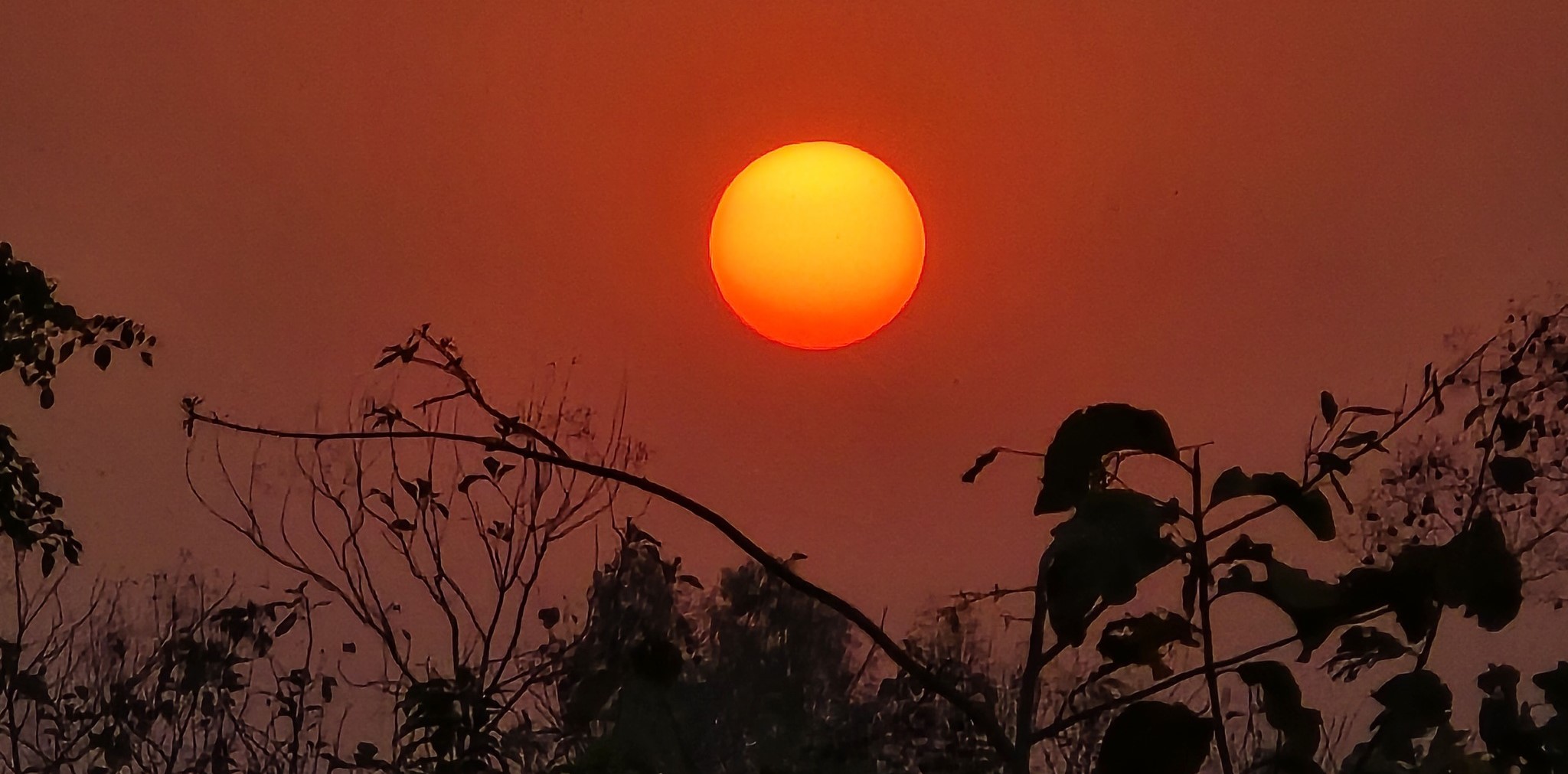 आजबाट शुरू भयो नयाँ वर्ष २०८१