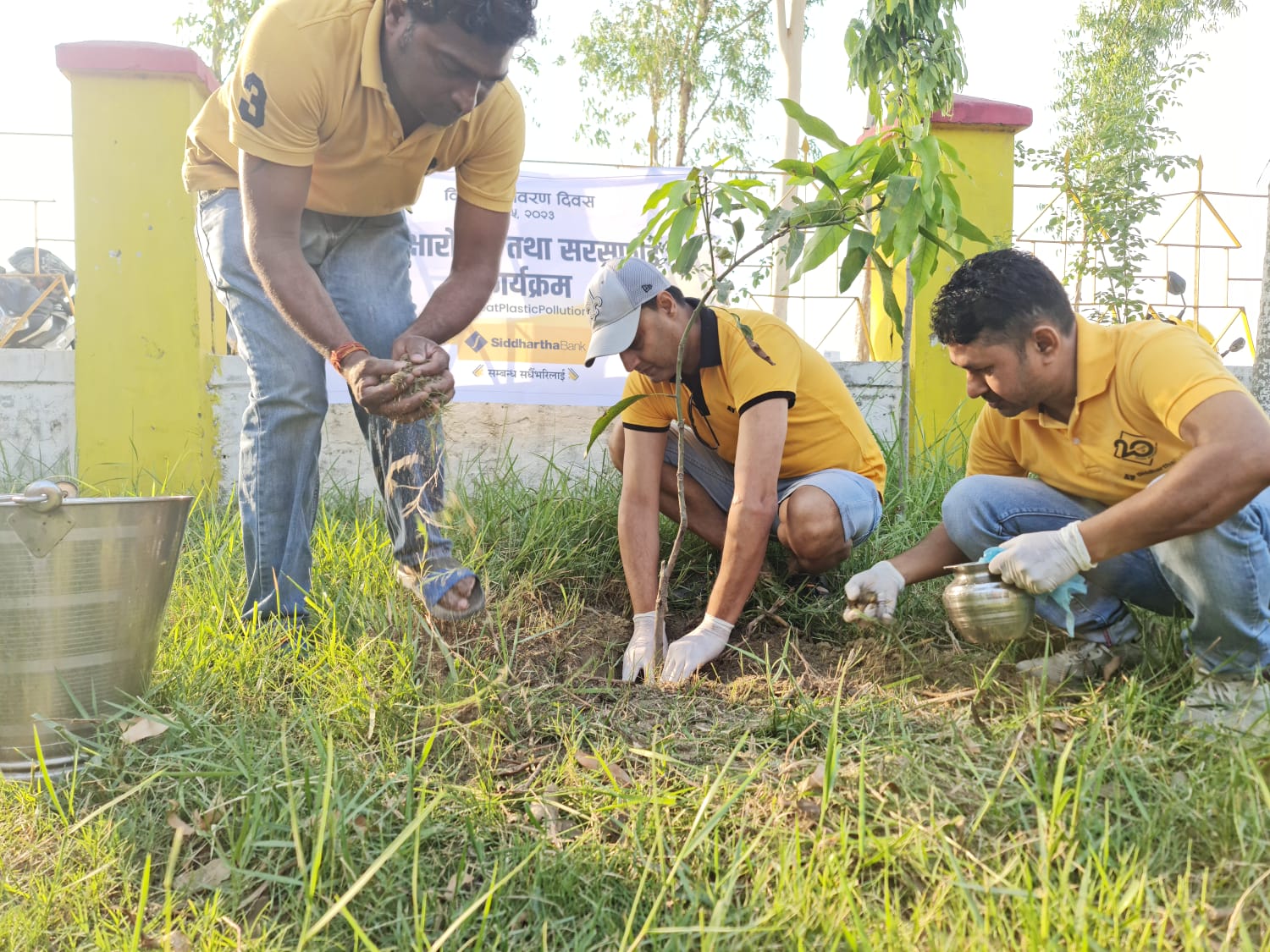 विश्व वातावरण दिवसमा सिद्धार्थ बैंकले गर्यो सातै प्रदेशमा वृक्षारोपण