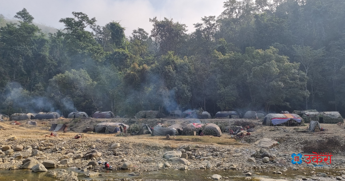 राउटे युवतीमाथि दुर्व्यवहारको भिडियो सार्वजनिक भएपछि शाही पक्राउ, भिडियो राख्नेको खोज्दै प्रहरी