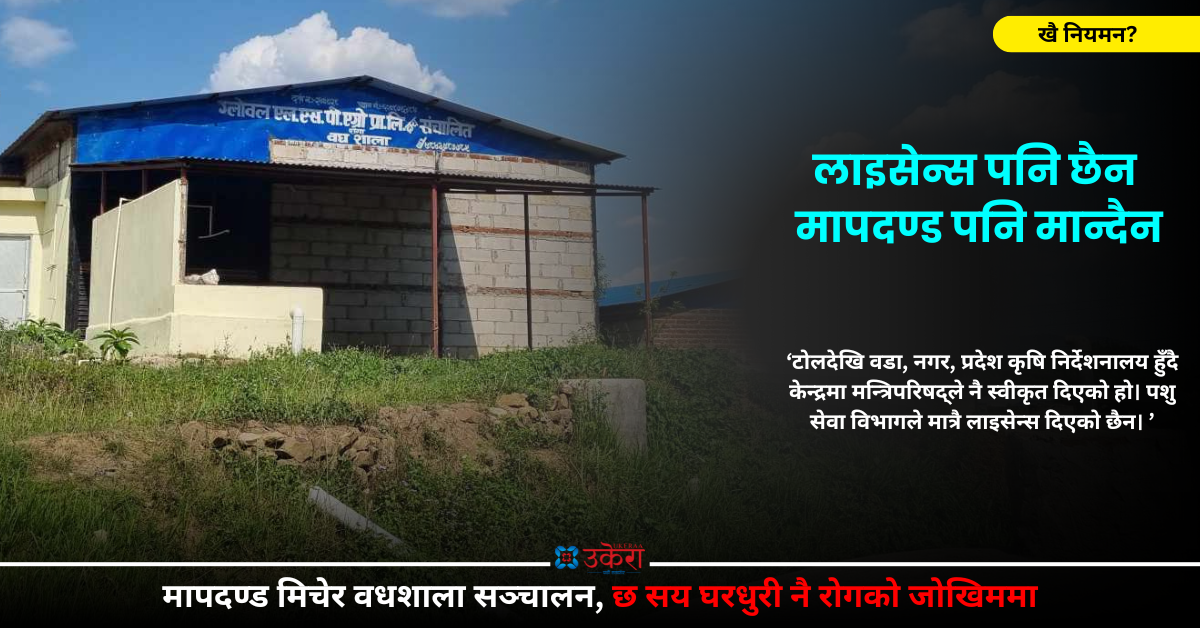छ सय घरधुरीको सिरानमा मापदण्ड विपरीतको वधशाला, साढे तीन वर्षदेखि लाइसेन्स नै नलिई सञ्चालनमा