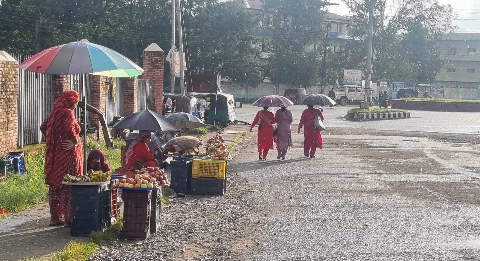 सुर्खेतमा चोक-चोकमा जुम्लाका हरिया स्याउ, एक सयमा बेच्न पनि मुस्किल