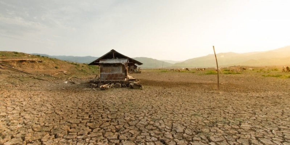 जलवायु परिवर्तनले अफ्रिकामा खडेरीको सम्भावना १०० प्रतिशतले बढ्यो