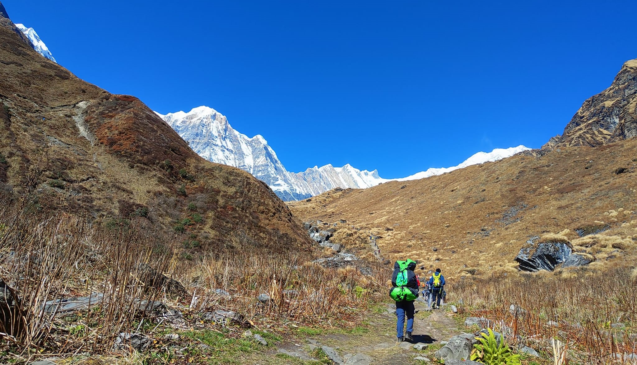 अन्नपूर्ण क्षेत्रमा एक महिनामै ३३ हजार बढी पर्यटक