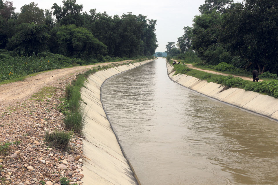 बबई सिंचाइको नहरले तीन वर्षीया बालिकाको मृत्यु