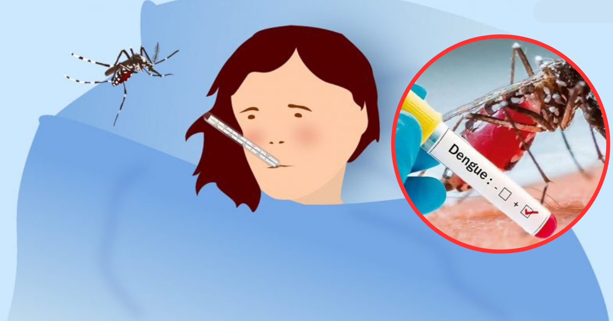 डेंगु संक्रमणको दर गत वर्षभन्दा उकालो लाग्यो, अझै दुई महिना उच्च जोखिम