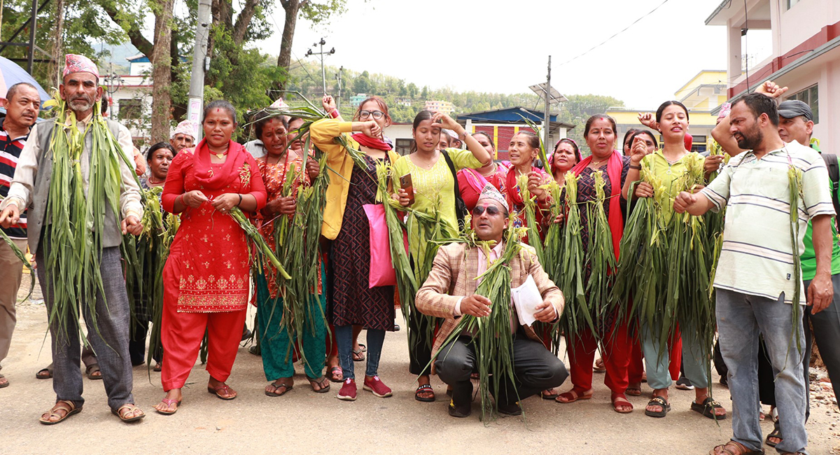 बाँदरले दुःख दिएपछि कृषिमन्त्रीको राजीनामा माग्दै प्रदर्शन