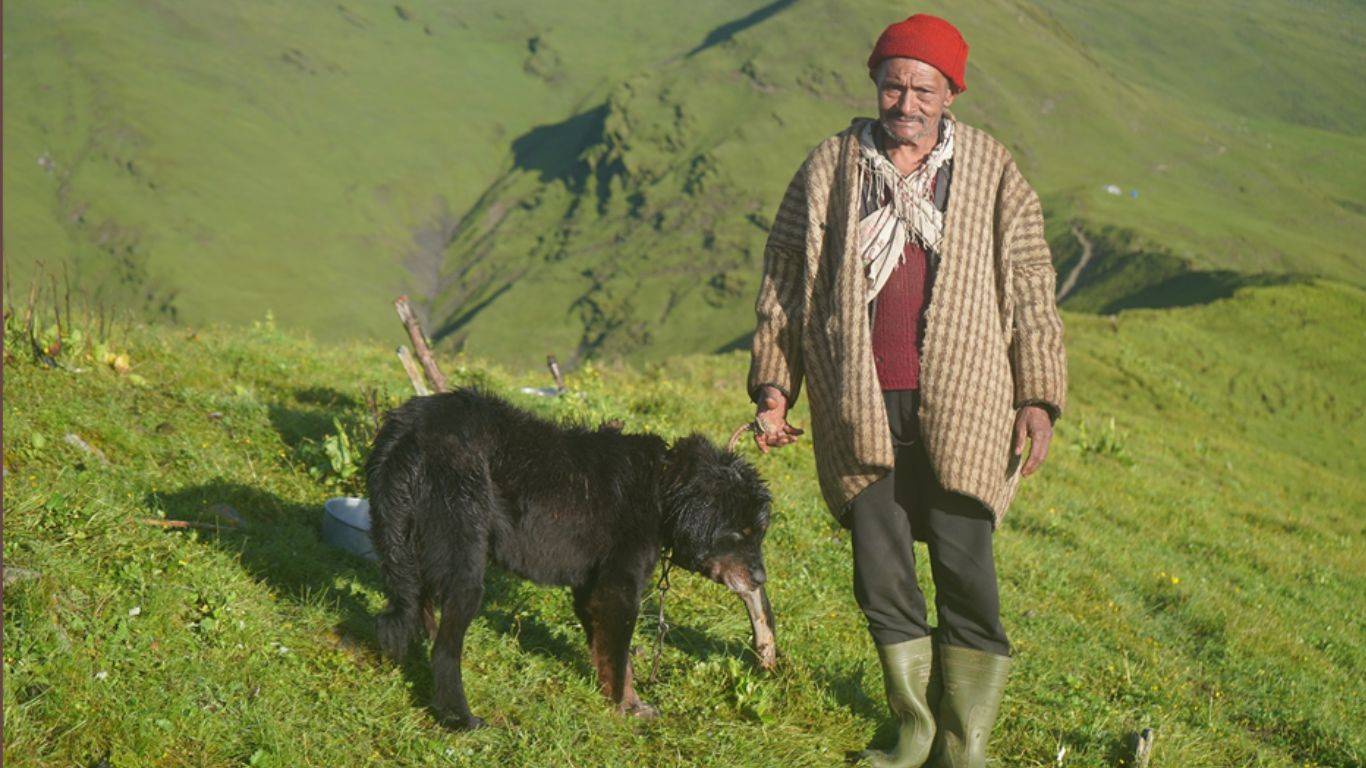 गोठालाको प्रिय साथी