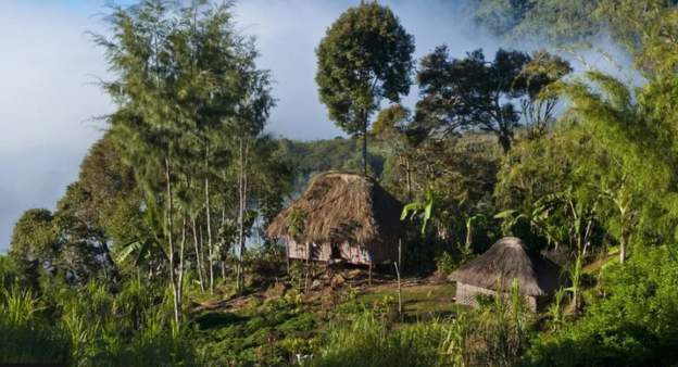 पपुवा न्यू गिनीमा गोली हानेर ६४ जनाको हत्या