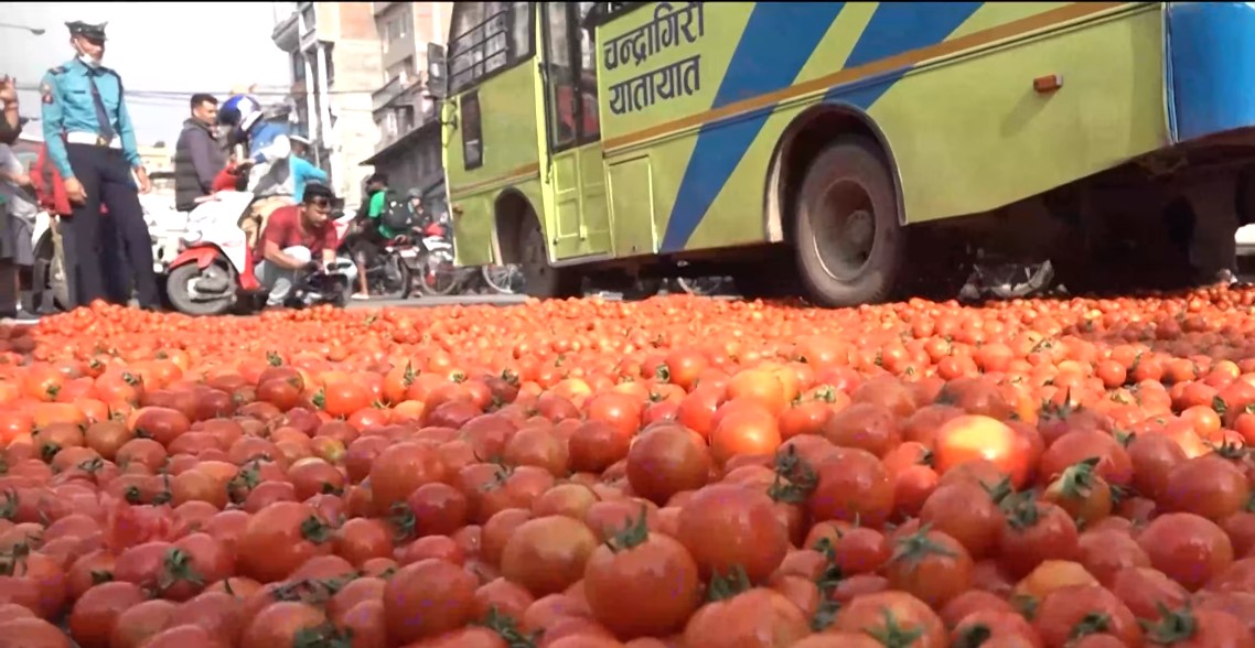 किसानको नाममा विचौलियाले गोलभेंडा सडकमा फालेको आरोप, छानबिन गर्न निर्देशन