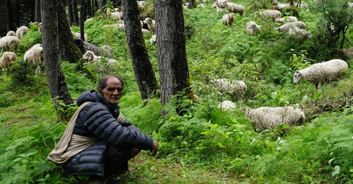 विदेशिए गोठाला, हराए गोठ