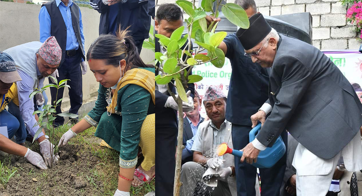 मदन भण्डारी जन्मजयन्तीमा एमाले अध्यक्ष ओलीले गरे वृक्षरोपण