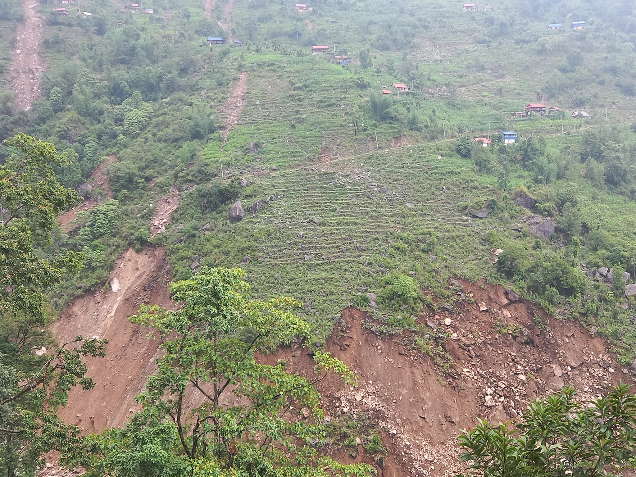 निगुरो टिप्न जाँदा भोजपुरमा पहिरोमा पुरिएर एक जनाको मृत्यु