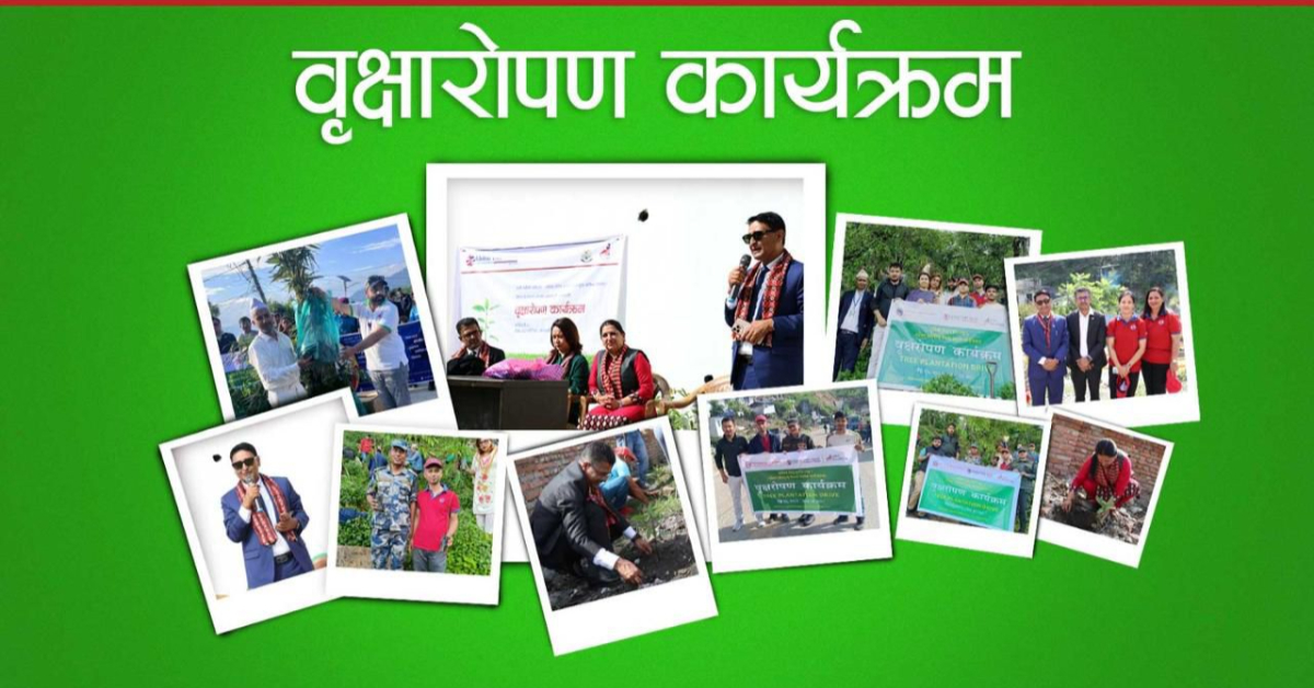 ग्लोबल आइएमई बैंकद्वारा टोखा र दिक्तेल रुपाकोट मझुवागढी नगरपालिकामा वृक्षारोपण