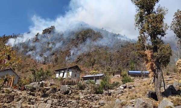 सैलुङको जङ्गलमा लागेको आगो नियन्त्रण बाहिर