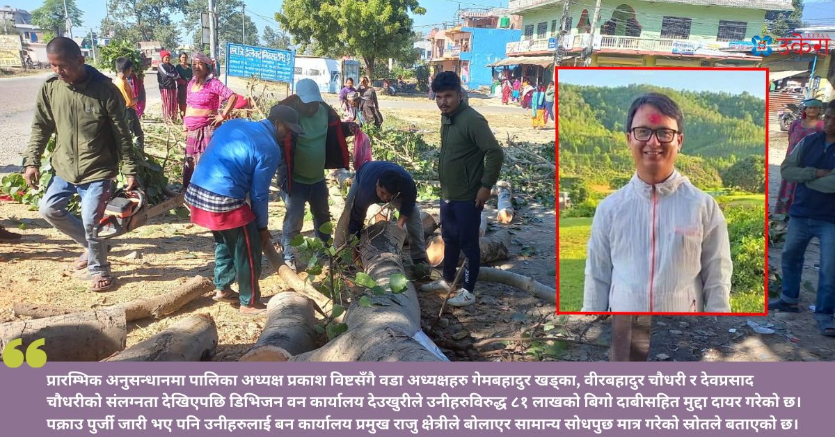 अदालतले पक्राउ पुर्जी जारी गर्दा पनि  समातिएनन् मिलेमतोमा राजमार्गका रुख काट्ने गाउँपालिका अध्यक्ष र वडाध्यक्षहरू