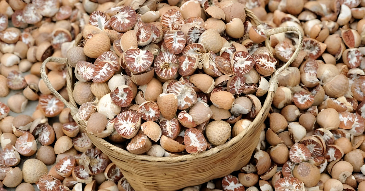 नीतिगत अन्योलले चार वर्षदेखि सुपारी निर्यात ठप्प, किसान भन्छन्- सरकार सुन्दै सुन्दैन