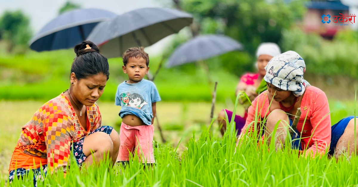 नेपालको कृषि क्षेत्रमा महिला श्रम शक्तिको योगदान उच्च, मूल्याङ्कन कम