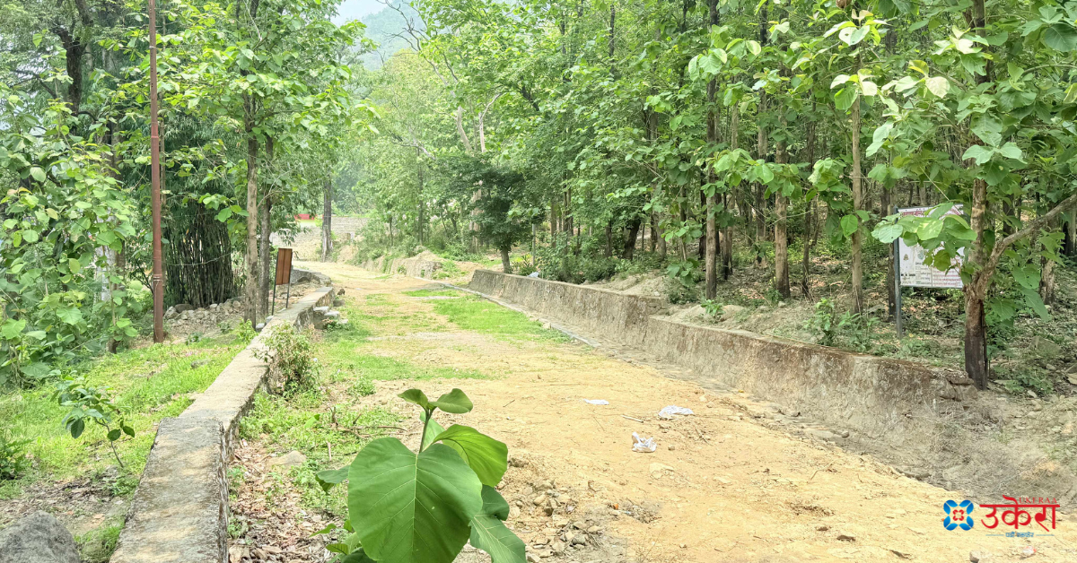 चुरे क्षेत्रमा बनेका सडक।